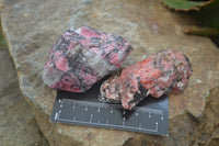 Natural Rhodonite Cobbed Specimens x 14 From Zimbabwe