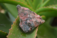 Natural Rhodonite Cobbed Specimens x 14 From Zimbabwe