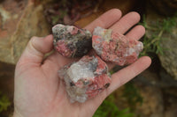 Natural Rhodonite Cobbed Specimens x 14 From Zimbabwe