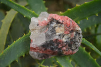 Natural Rhodonite Cobbed Specimens x 14 From Zimbabwe