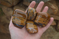 Polished Tiger's Eye Free Forms x 12 From Prieska, South Africa