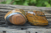 Polished Tiger's Eye Free Forms x 12 From Prieska, South Africa