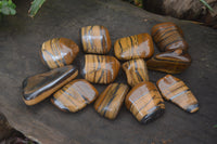 Polished Tiger's Eye Free Forms x 12 From Prieska, South Africa