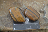 Polished Tiger's Eye Free Forms x 12 From Prieska, South Africa