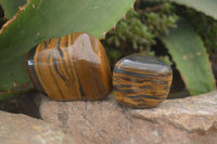 Polished Tiger's Eye Free Forms x 12 From Prieska, South Africa