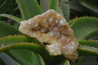 Natural Limonite Quartz Clusters x 5 From Solwezi, Zambia