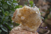 Natural Limonite Quartz Clusters x 5 From Solwezi, Zambia