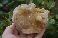 Natural Limonite Quartz Clusters x 5 From Solwezi, Zambia