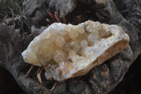 Natural Limonite Quartz Clusters x 5 From Solwezi, Zambia