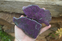 Polished On One Side Metallic Purpurite x 3 From Namibia