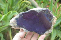 Polished On One Side Metallic Purpurite x 3 From Namibia