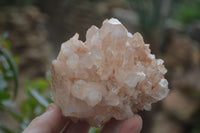 Natural Quartz Clusters x 3 From Madagascar