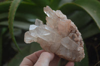 Natural Quartz Clusters x 3 From Madagascar