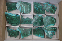 Polished Malacolla Slices x 12 From Kalukundi Mine, Congo