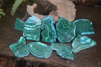 Polished Malacolla Slices x 12 From Kalukundi Mine, Congo