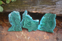 Polished Malacolla Slices x 12 From Kalukundi Mine, Congo