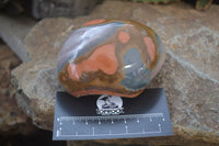 Polished On One Side Polychrome Jasper x 6 From Madagascar