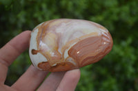 Polished On One Side Polychrome Jasper x 6 From Madagascar