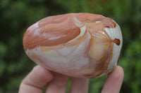 Polished On One Side Polychrome Jasper x 6 From Madagascar