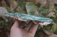 Polished On One Side Emerald Mtorolite x 1 From Mutorashanga, Zimbabwe