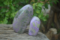 Polished Stichtite Standing Free Forms x 2 From Barberton, South Africa