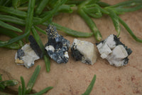 Natural Aegirine & Orthoclase Clusters x 70 From Zomba, Malawi