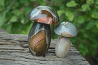 Polished Polychrome Jasper Mushrooms x 7 From Madagascar