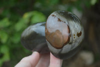 Polished Polychrome Jasper Mushrooms x 7 From Madagascar