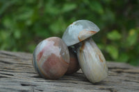 Polished Polychrome Jasper Mushrooms x 7 From Madagascar