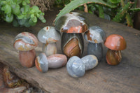 Polished Polychrome Jasper Mushrooms x 7 From Madagascar