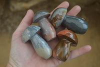 Polished Polychrome Jasper Mushrooms x 7 From Madagascar