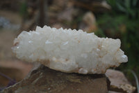 Natural Zululand Amethyst Plates x 3 from Jozini, South Africa