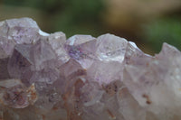 Natural Zululand Amethyst Plates x 3 from Jozini, South Africa