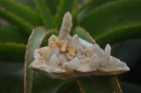 Natural Fairy Spirit Quartz Clusters x 20 From Boekenhouthoek, South Africa