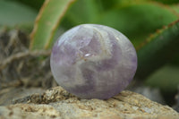 Polished Chevron Amethyst Palm Stones x 20 From Madagascar