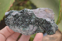 Natural Libethenite Crystals On Dolomite Matrix Specimens x 3 From Shituru, Congo