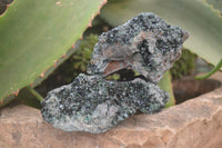 Natural Libethenite Crystals On Dolomite Matrix Specimens x 3 From Shituru, Congo