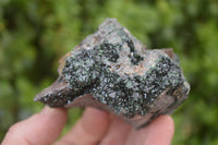 Natural Libethenite Crystals On Dolomite Matrix Specimens x 3 From Shituru, Congo