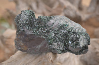 Natural Libethenite Crystals On Dolomite Matrix Specimens x 3 From Shituru, Congo