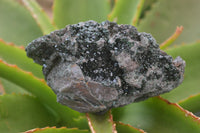 Natural Libethenite Crystals On Dolomite Matrix Specimens x 3 From Shituru, Congo