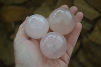 Polished Rose Quartz Spheres x 6 From Madagascar