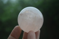 Polished Rose Quartz Spheres x 6 From Madagascar