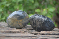 Polished Pharaoh Stone Free Forms x 6 From Zimbabwe