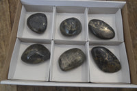 Polished Pharaoh Stone Free Forms x 6 From Zimbabwe