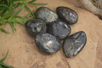 Polished Pharaoh Stone Free Forms x 6 From Zimbabwe