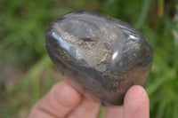 Polished Pharaoh Stone Free Forms x 6 From Zimbabwe