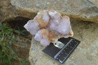 Natural Ametrine Spirit Quartz Clusters x 3 From Boekenhouthoek, South Africa