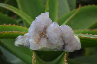 Natural Ametrine Spirit Quartz Clusters x 3 From Boekenhouthoek, South Africa