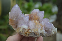 Natural Ametrine Spirit Quartz Clusters x 3 From Boekenhouthoek, South Africa