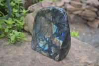 Polished Labradorite Standing Free Form x 1 From Tulear, Madagascar